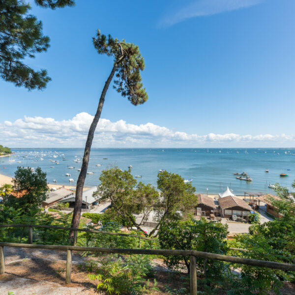 French and activity program in Arcachon bay