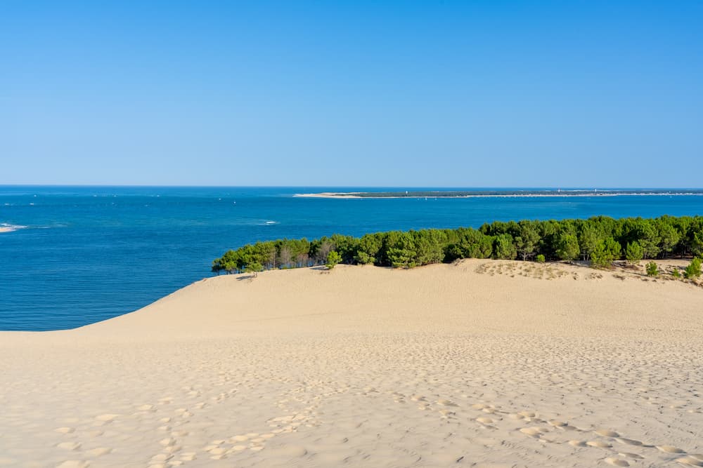 French and surf program in the Arcachon Bay