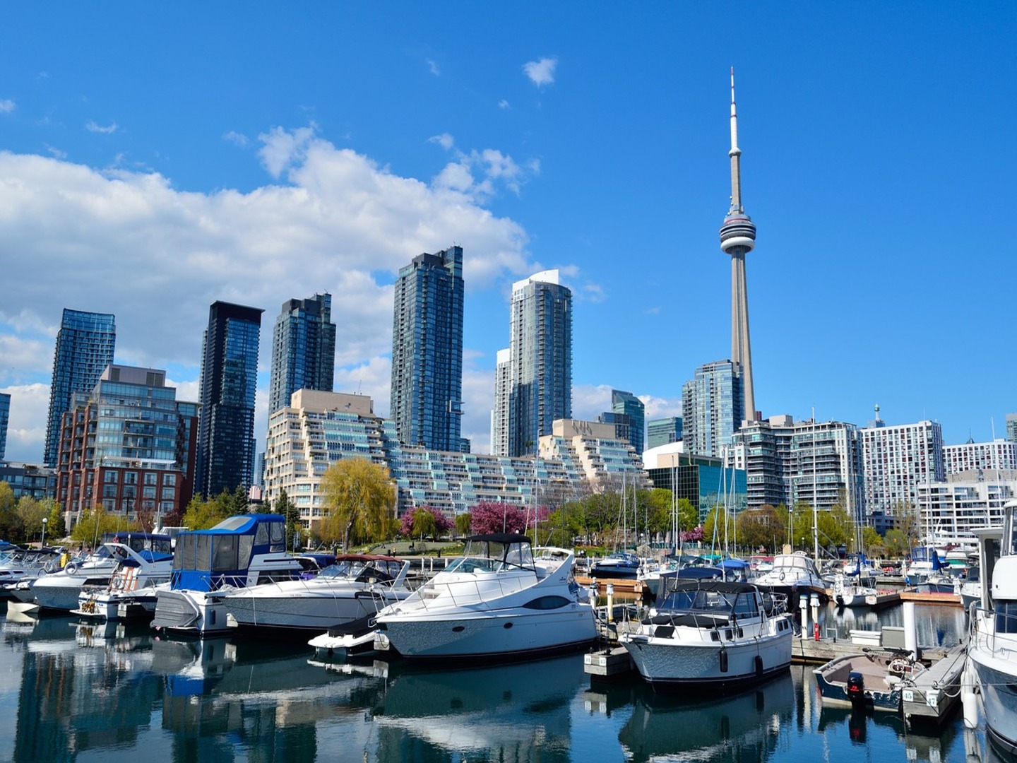 Partir étudier au Canada pour améliorer son anglais.