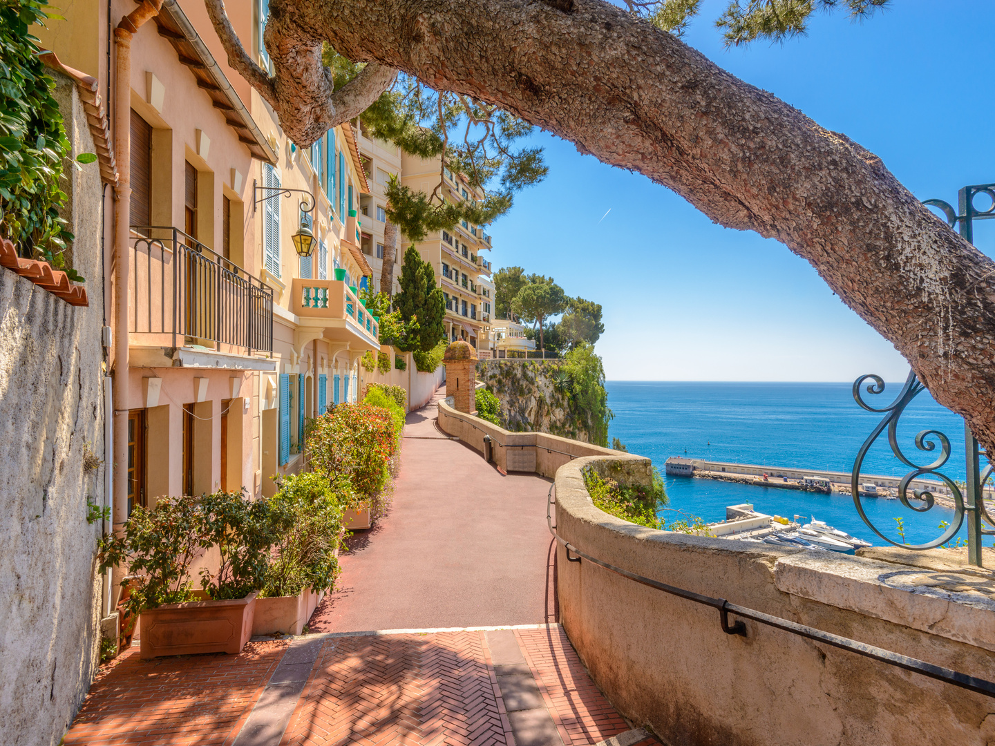 Discover Monaco during a cultural tour in French Riviera