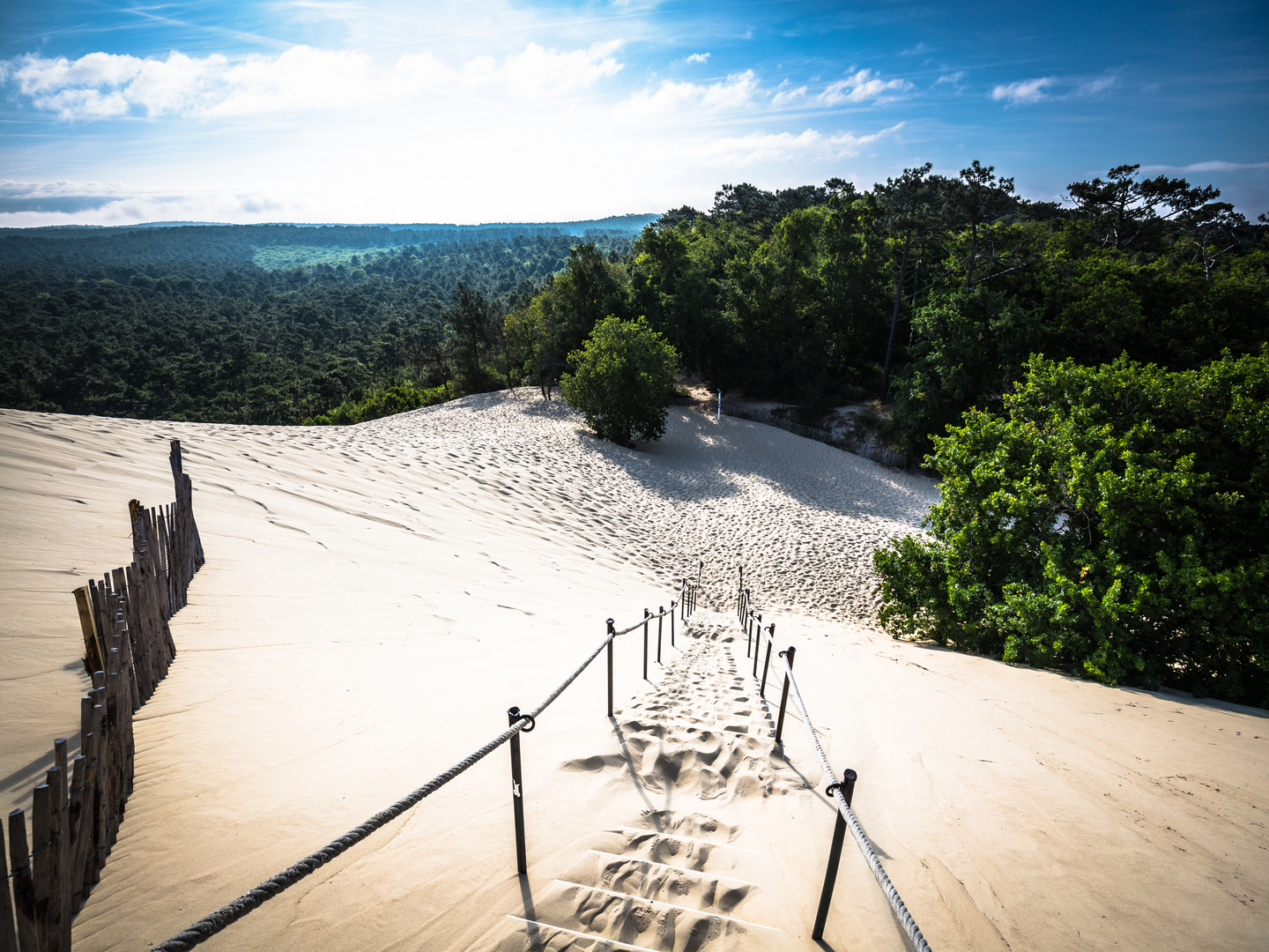 Educational tours for groups in Arcachon, Bordeaux area